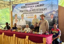 Pemprov Bangun 13 PLTS, Percepat Pemerataan Listrik Perbatasan