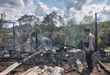 Rumah Kosong Dilalap Api, Diduga Korsleting Listrik