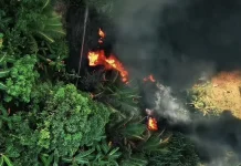 Kebakaran Lahan di Kampung Empat, Warga Sempat Panik