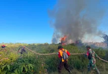 24 Hektare Lahan Terbakar di Tarakan, Cuaca Kering Jadi Pemicu
