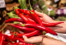 Harga Cabai Merah Besar dan Tiung Kapal Terpantau Turun