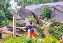 Cuaca Ekstrem, Sebabkan Pohon Tumbang dan Dua Titik Longsor