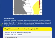 Waspada Potensi Gelombang Kategori Sedang di Sejumlah Perairan Kaltara