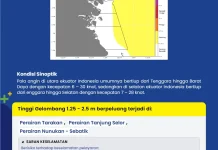 Gelombang Sedang Berpotensi Terjadi di Perairan Kaltara Selama Tiga Hari Kedepan