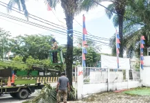 Cegah Pohon Tumbang, DLH Tarakan Rutin Melakukan Perawatan dan Penebangan Pohon