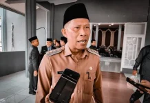 Peran Desa dalam Pembangunan Daerah
