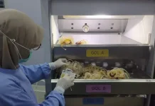 PMI Kota Tarakan Miliki Ketersediaan Darah Sebanyak 112 Kantong