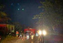 Empat Rumah Hangus Terbakar di Tanjung Selor, Kerugian Ditaksir Capai Rp2 Miliar
