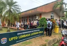 Cari Kerja di Job Fair, Jangan Lupa Buat Kartu Kuning
