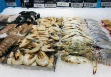 Gandeng BRIN, Bappeda Litbang Tarakan Lakukan Riset Ekspor Udang dan Kepiting