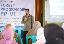 FP VI Jadi Langkah Dishut Kaltara Jaga Mangrove