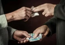Wilayah Pesisir Rentan Peredaran Narkoba