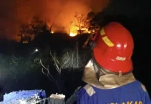 Karhutla Hanguskan Lahan di Tarakan, Agustus 4 Kali Terjadi
