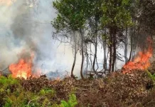 Curah Hujan Minim, Tarakan Diselimuti Cuaca Panas