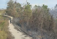 Waspada Karhutla, Juwata dan Pantai Amal Rawan jika 5 Hari tanpa Hujan