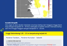 Tinggi Gelombang hingga 2,5 Meter Berpotensi Terjadi di Perairan Kaltara