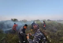Kebakaran Lahan di Tarakan Semakin Meluas