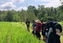 Generasi Muda Didorong Kelola Sektor Pertanian