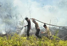 Polda Kaltara Kerahkan 65 Personel Padamkan Karhutla 11,5 Hektare