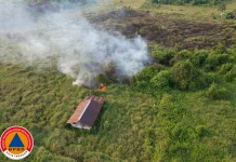 Karhutla Sepanjang Agustus Hanguskan 52,82 Hektare di 21 Titik