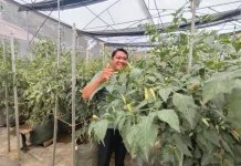Dari Cangkul ke Green House Pintar: Langkah Lukas Lahirkan Pertanian Digital