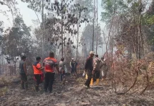 Kualitas Udara Masih Sedang, DLH Tarakan Imbau Warga Pakai Masker