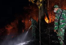 Kebakaran Lahan Ancam Permukiman, Kodim Turun Tangan