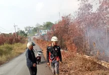 Batu Bara Pantai Amal Aktif, Rawan Kebakaran Bawah Tanah