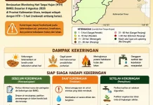BMKG Catat Wilayah di Kalimantan Utara Alami Hari tanpa Hujan Lebih dari 5 Hari