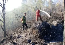 Pemukiman Warga di Tarakan Aman dari Karhutla
