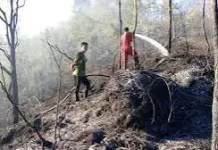 Hujan Belum Mengurangi Titik Hotspot di Kaltara