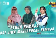 Senja Remaja, Program Peduli Kesehatan Jiwa Generasi Indonesia