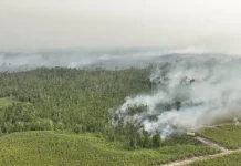 Bakar Lahan di Bulungan, Siap-Siap Berhadapan dengan Hukum