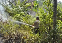 Kabut Asap Kepung Bulungan, Polresta Selidiki Kasus Karhutla