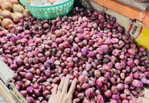 Update Harga Bapok Tarakan: Cabai Merah Naik, Bawang Merah Turun