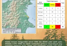 BMKG Deteksi 49 Titik Panas di Bulungan, 3 Hotspot Kategori Tinggi