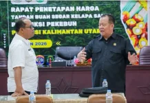 DPRD Kaltara Kawal Penetapan Harga TBS Sawit, Sepakati CPO Rp15.199 per Kg