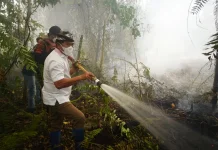 Terjun Langsung, Gubernur Ikut Padamkan Karhutla di Selimau