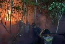 Karhutla di Kaltara Capai 400,62 Hektare