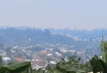 Kabut Asap Masih Selimuti Kaltara, Jarak Pandang Sempat Turun hingga 1 Km