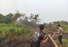 Lima Perkara Karhutla Ditangani Polresta Bulungan, Dua Sudah Berstatus LP