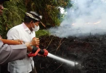 Kewaspadaan Diperketat, Karhutla Kaltara Terendah di Kalimantan