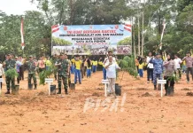 Ikuti Aksi Tanam Satu Juta Pohon, Wabup Ajak Masyarakat Rawat Lingkungan