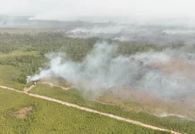 Karhutla Kaltara Tembus 2.639 Hektare, Bulungan Jadi Episentrum Kebakaran