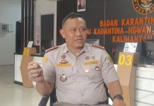 Karantina Kaltara Perkuat Pos Pengawasan di Perbatasan