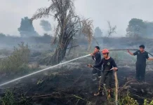 Minimalisir Karhutla Melalui Gerakan MPA dan Bangun Sekat Bakar