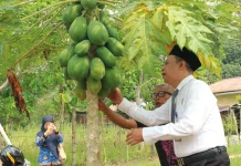 Masyarakat Harap RRI Terus Sajikan Informasi Terkini dan Dekat dengan Warga