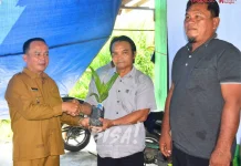 Produktivitas Sawit dan Kakao Bulungan Masih Rendah