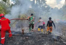 Panas Berkepanjangan, Waspada Titik Hotspot Baru