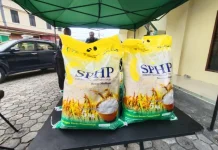 Bulog Siapkan Nama dan Kemasan Baru Beras SPHP, Mulai Berlaku 20 Oktober